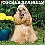 2027 Willow Creek Cocker Spaniels 12" x 12" Monthly Wall Calendar, Assorted Colors (59791)~#|#~B44E1FEB-9349-4096-9942068AD1CA2072_sc7