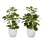 Monarch Specialties Inc. 14" Artificial Ficus Elastica Plant in Pot, 2/Set (I 9557)~#|#~B458F561-7BC6-4E09-8F05B8CFD0C9D11C_sc7