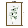 Amanti Art Tender Sprout II (Eucalyptus) by Eva Watts Framed Canvas Wall Art Print, 16" x 23" (A42675040761)~#|#~B45FA104-466F-4F99-B47C786D3B69C414_sc7