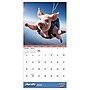2026 TF Publishing Playful Pigs Mini 7" x 7" Monthly Wall Calendar, Multicolor (26-2006)~#|#~B4741D30-CA43-4476-840C02056FB408E1_sc7