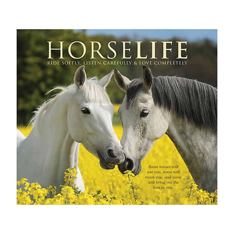 Willow Creek Horselife, Hardcover image 1