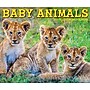 2027 Willow Creek Baby Animals 6.2" x 5.4" Daily Day-to-Day Calendar, Assorted Colors (63262)~#|#~B4B19F1B-C6FB-491C-A6F8DB5467C03D7F_sc7