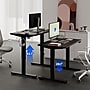 FlexiSpot E2 42''W Electric Adjustable Standing Desk, Black (E2B4224B)~#|#~B4C46192-DF05-4B77-A40EB121A4E3824E_sc7
