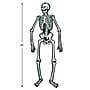 Beistle Halloween Jointed Skeletons Cutouts, Black/White, 4/Pack (01084)~#|#~B4FBCAF3-3D25-4C56-B8129C8D9320F2A4_sc7