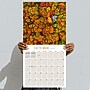 2026 TF Publishing Trees 12" x 12" Monthly Wall Calendar, Multi (26-1029)~#|#~B4FBE625-C4AC-4D87-B94BC4606E71D1E1_sc7