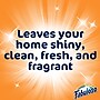 Fabuloso Antibacterial Multipurpose Cleaner, Lavender Scent, 169 Fl. Oz. (61018224)~#|#~B5148BE5-3D59-4EF9-AD1913C307BC28F2_sc7
