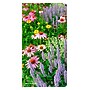 2026-2027 BrownTrout In the Garden 3.5" x 6.5" Monthly Planner (9798330703869)~#|#~B52BE6AE-6B1E-4542-959003ED0778205F_sc7