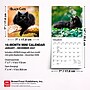2027 BrownTrout Black Cats 7" x 7" Monthly Wall Calendar, Assorted Colors (9798330709700)~#|#~B5421D58-FB4D-4EF1-A9745F4E19A986BE_sc7