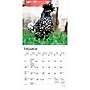 2027 BrownTrout Chickens 7" x 7" Monthly Wall Calendar, Assorted Colors (9798330709786)~#|#~B5428390-B325-46A0-B49A60DB65EC77A5_sc7