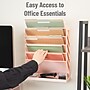 Mind Reader 5-Pocket Plastic Mountable Wall File, Letter Size, Pink (WALLANCH-PNK)~#|#~B54AF6F2-CBEC-44F5-92FB307F3EEAEEBB_sc7
