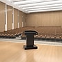 FlexiSpot EL1 Podium, Black (EL1B-US)~#|#~B5501F72-D383-4FB0-B5E8D2C27A1300FB_sc7