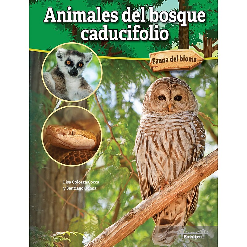 Carson-Dellosa Bridges Animales del bosque caducifolio, Hardcover (CD-9781731654618) image 1