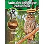 Carson-Dellosa Bridges Animales del bosque caducifolio, Hardcover (CD-9781731654618)~#|#~B5503D3A-4D60-4C7A-93A7DE55ACBD03A2_sc7