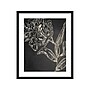 Amanti Art Flowers Folklore I, Paper, 21" x  25" (A42675519534)~#|#~B55685FA-A7A3-4B7C-832C9D94EB881B9D_sc7