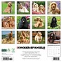 2026 Willow Creek Cocker Spaniels 12" x 12" Monthly Wall Calendar (50781)~#|#~B559DA74-4984-4A4C-97FF1CA1AE7914F1_sc7
