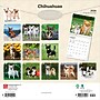 2026 BrownTrout Chihuahuas 12" x 12" Monthly Wall Calendar (9798330702947)~#|#~B55C643A-F851-488C-A9457A3980C06DB0_sc7