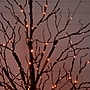 Nearly Natural Pre-Lit Halloween Black Twig Artificial Tree, 5' (T5167)~#|#~B564550D-BF88-4719-BE18E3B46B5EE9D2_sc7