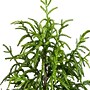 Nearly Natural Artificial Norfolk Pine Tree, 4' (T4708)~#|#~B56DE72B-8BA5-457C-822919A9E7BD907C_sc7
