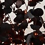 Nearly Natural Pre-Lit Artificial Halloween Black Eucalyptus Tree, 6' (T5223)~#|#~B5737551-A283-4534-944F2403AEAE3D1F_sc7