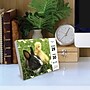 2026 Willow Creek Baby Animals 6.2" x 5.4" Day-to-Day Calendar (53928)~#|#~B583A40E-F4C0-4C35-BB8883BAD0348BB3_sc7