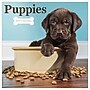 2027 TF Publishing Puppies 11" x 11" Monthly Wall Calendar, Multicolored (27-1025)~#|#~B5880E79-47DB-46C1-81B33B67684C5450_sc7