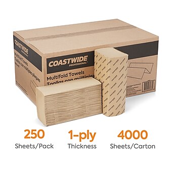 Coastwide Professional™ Multifold Paper Towels, 1-ply, 250 Sheets/Pack, 16 Packs/Carton (CW21819)