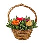 National Tree Company 10" Spring Multicolor Floral Basket (EG79-19B0162-1)~#|#~B5A3DCF3-E2C2-4638-8F33E5EDEDA2D835_sc7