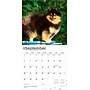 2026 BrownTrout Pomeranians 12" x 12" Monthly Wall Calendar (9798330705153)~#|#~B5D68A8E-E7B4-4591-9748DF4BEDB2F246_sc7