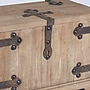 Household Essentials Decorative Trunk (HH9544-1)~#|#~B5DE5664-4380-4E0E-9B7D96B804AFC65D_sc7