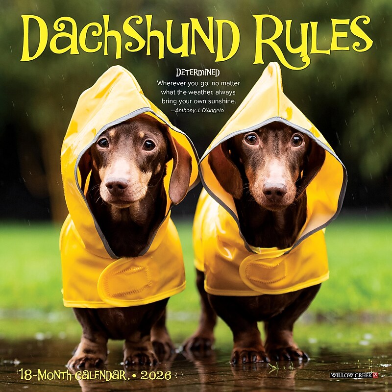 2026 Willow Creek Dachshund Rules 7" x 7" Monthly Wall Calendar (53546) image 1