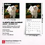 2027 BrownTrout Maltese 7" x 7" Monthly Wall Calendar (9798330710041)~#|#~B623568C-33DE-4D79-9A07FAE6BED4005D_sc7