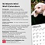2026 BrownTrout Lab Puppies 7" x 7" Monthly Wall Calendar (9798330704163)~#|#~B6308EB8-F873-44FC-942DC575FBCB597C_sc7