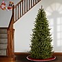 National Tree Company Natural Fraser Fir Artificial Christmas Tree (NAFFSLH1-65)~#|#~B637118F-DEE2-43B8-BE822F5C76B22A5B_sc7