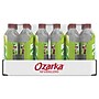 Ozarka Sparkling Water, Zesty Lime, 16.9 oz. Bottles, 24/Carton (12349550)~#|#~B644D297-4E59-4864-9E0F99E22C11BD5E_sc7