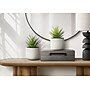 Monarch Specialties Inc. 9" Artificial Succulent Plant in Pot, 2/Set (I 9362)~#|#~B64CC96D-C0A6-4E16-BA00460C880D3A0D_sc7