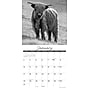 2027 Willow Creek Highland Cows B&W 12" x 12" Monthly Wall Calendar (60674)~#|#~B6571C1A-5326-4C38-AE7EF7BBB99F17A8_sc7