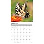 2026 Willow Creek Butterflies 12" x 12" Monthly Wall Calendar (50453)~#|#~B664721D-647B-4CC5-BE0CA62F9BB4989E_sc7