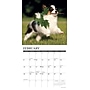 2026 Willow Creek Papillons 12" x 12" Monthly Wall Calendar (52303)~#|#~B665E07B-7A46-468C-B0768CC42DCDB9E1_sc7