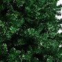 Nearly Natural 11-ft Northern Tip Artificial Christmas Tree with 1000 Clear LED Lights and 2720 Bendable Branches (T3390)~#|#~B67D390C-3759-48D4-BBB2DF7E68790834_sc7