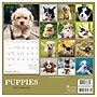 2027 TF Publishing Puppies 7" x 7" Monthly Wall Calendar, Multicolored (27-2007)~#|#~B68AED81-CACF-4483-AC4EBA5F5A324802_sc7