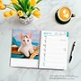 2027 BrownTrout Kittens 6.5" x 7.8" Calendar Year Weekly Standard Planner, Multicolor (9798330709434)~#|#~B6AB49F9-DFB5-4CFB-B8769553806810B3_sc7