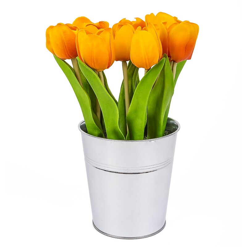 National Tree Company 9" Orange Tulip Bouquet (MT81-130TU25POR) image 1