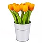National Tree Company 9" Orange Tulip Bouquet (MT81-130TU25POR)~#|#~B6B85E2D-3E89-484D-BB56A3B176893F3B_sc7