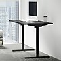 FlexiSpot ET155E 55"W Electric Rectangular Adjustable Standing Desk, Black~#|#~B6BFF19D-FC22-49C9-BBF3E9044697E117_sc7