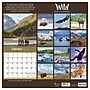 2027 TF Publishing Wild 11" x 12" Monthly Wall Calendar, Multicolored (27-1032)~#|#~B6CE9B9A-8FFA-4079-8DEB00880CE2596C_sc7