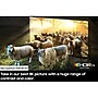Samsung QN900D 65" Neo QLED Smart 8K Ultra TV (QN65QN900DFXZA)~#|#~B6D1887D-3A02-4FFA-B98F78EC837DEA3E_sc7