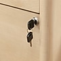 Sauder Whitaker Point Commercial 2-Drawer Lateral File Cabinet, Letter/Legal Size, Lockable, 31"W x 21"D, Natural Maple (429374)~#|#~B6DA9DE7-DE17-43B3-87AD5D58ECE1CF95_sc7
