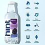 Hint Blackberry Flavored Water, 16 oz., 12/Carton (00034)~#|#~B6ED2F33-00EC-49AF-8FEC8FDF2F7AB4C2_sc7