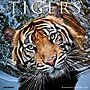 2027 Willow Creek Tigers 12" x 12" Monthly Wall Calendar, Assorted Colors (62616)~#|#~B6FF33D2-DFFA-4375-8002F5CD26C1DD2F_sc7