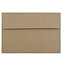 JAM Paper Booklet Envelope, 6" x 9 1/2", Brown Kraft, 100/Pack (LEKR850d)~#|#~B703C060-64C9-465E-AFE994353226C7AC_sc7